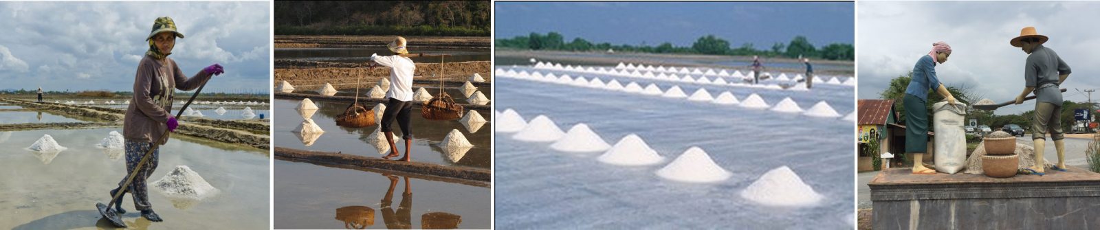 Kampot Salt Production